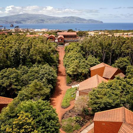 Alma Do Pico - Nature Residence Madalena  Extérieur photo