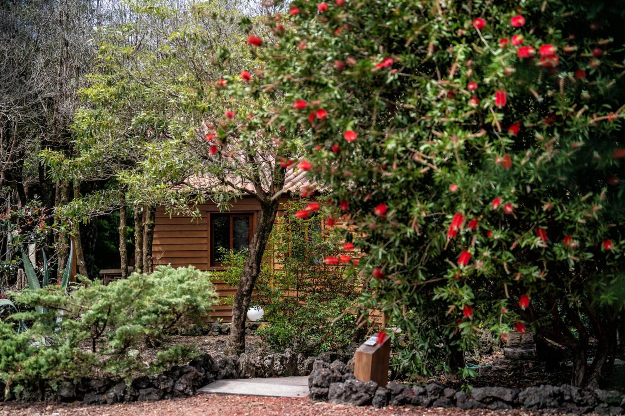 Alma Do Pico - Nature Residence Madalena  Extérieur photo