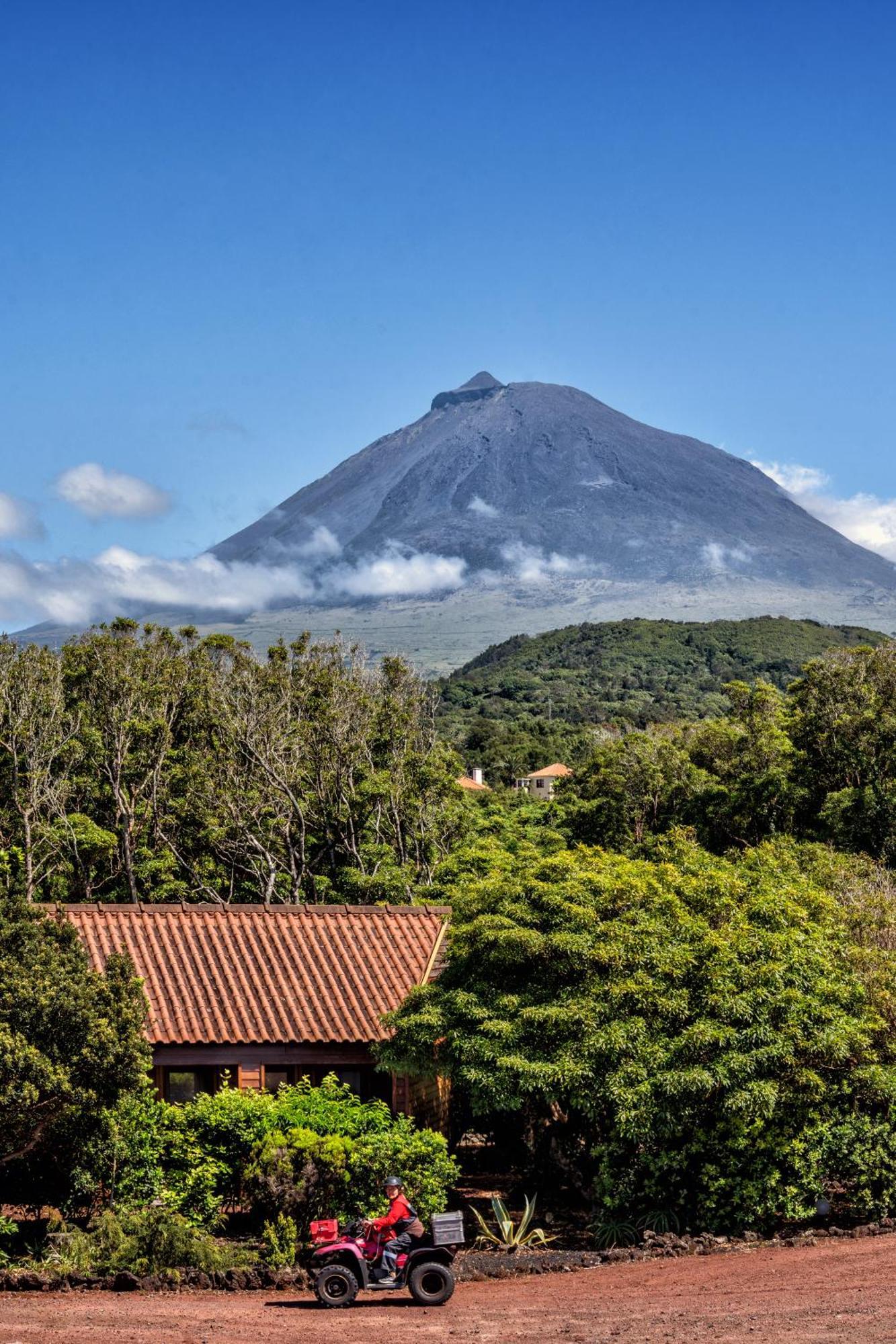 Alma Do Pico - Nature Residence Madalena  Extérieur photo