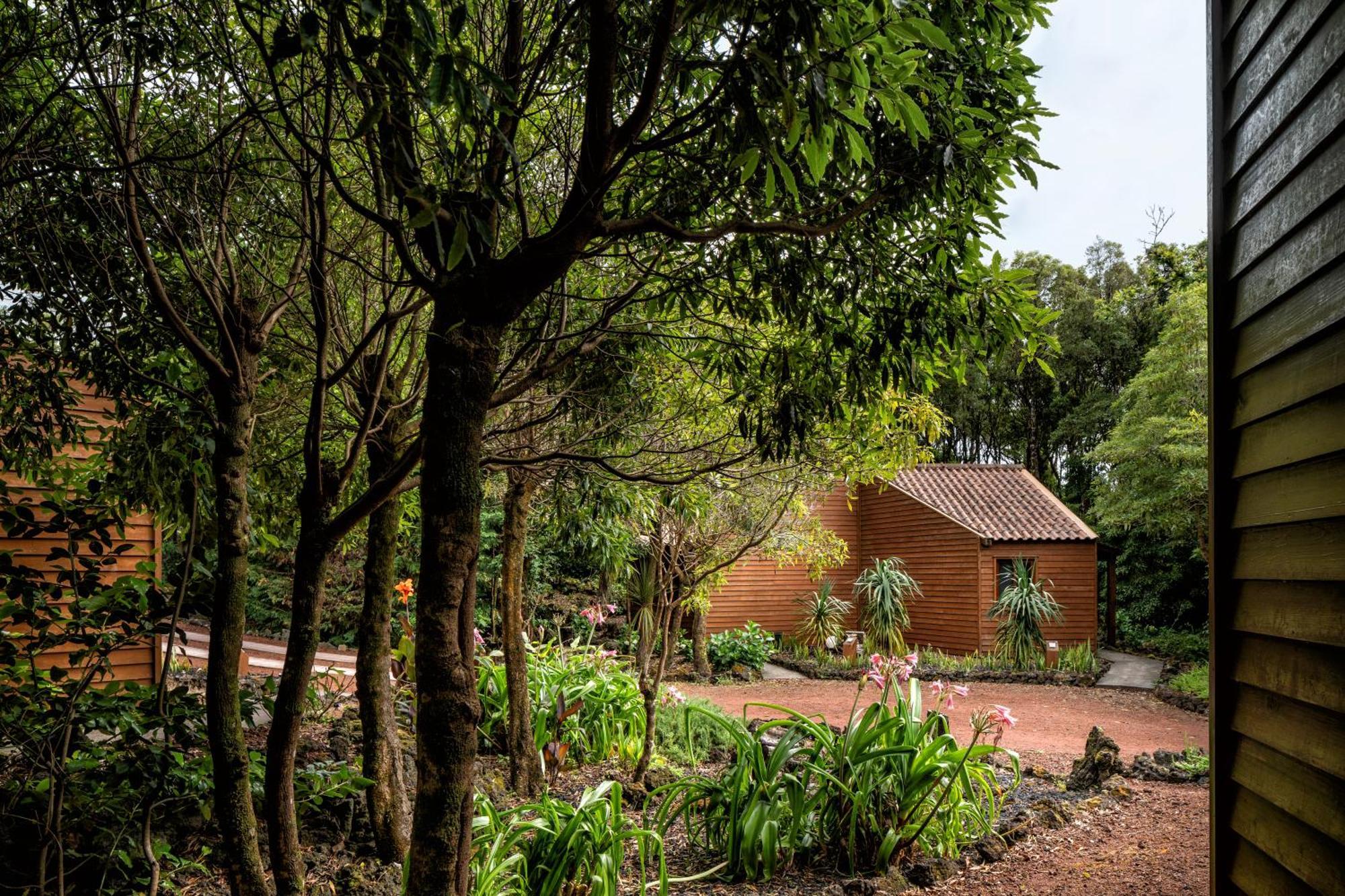 Alma Do Pico - Nature Residence Madalena  Extérieur photo