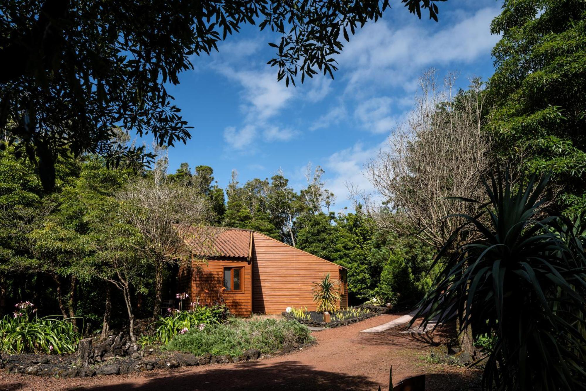 Alma Do Pico - Nature Residence Madalena  Extérieur photo