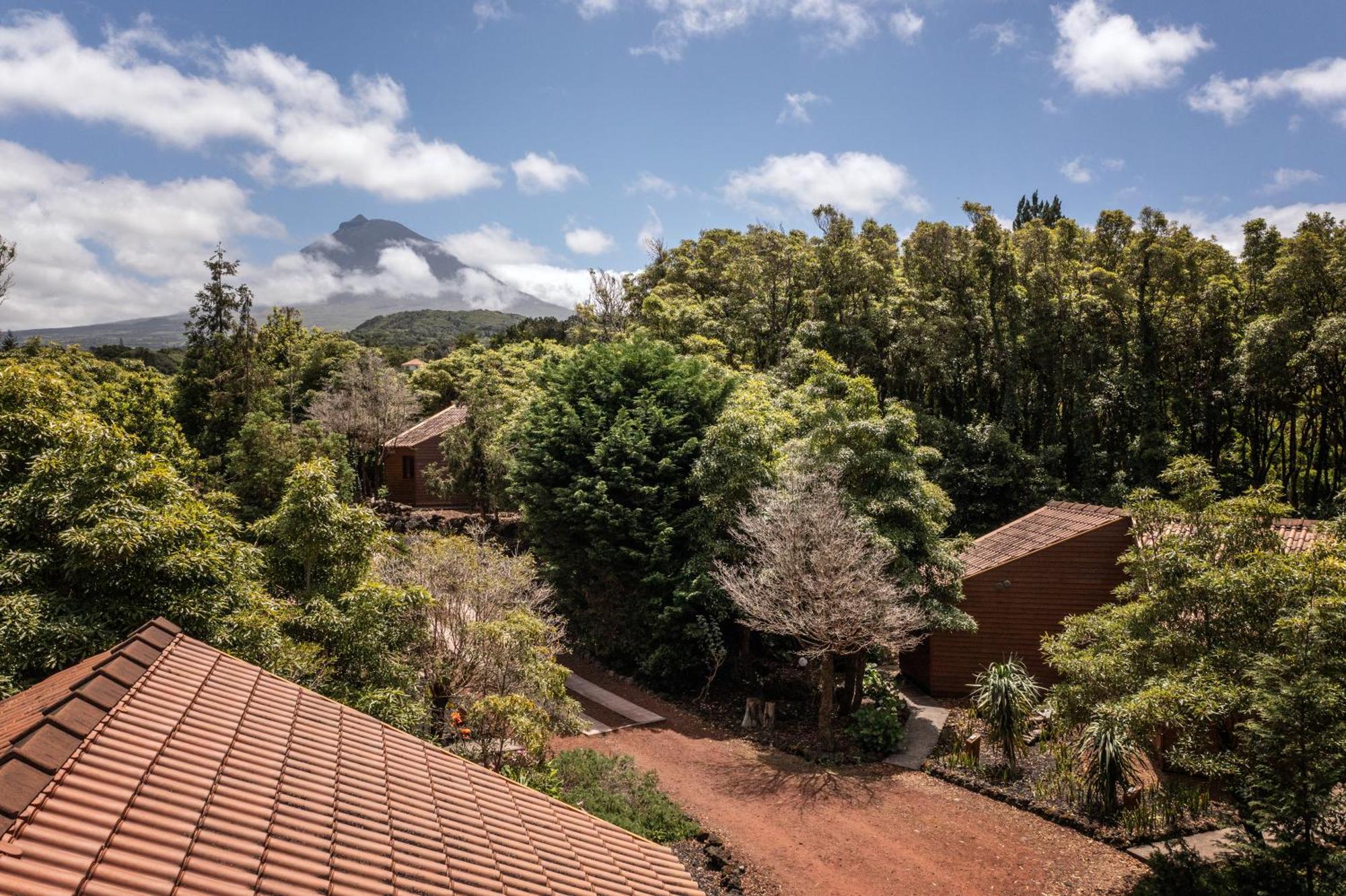 Alma Do Pico - Nature Residence Madalena  Extérieur photo