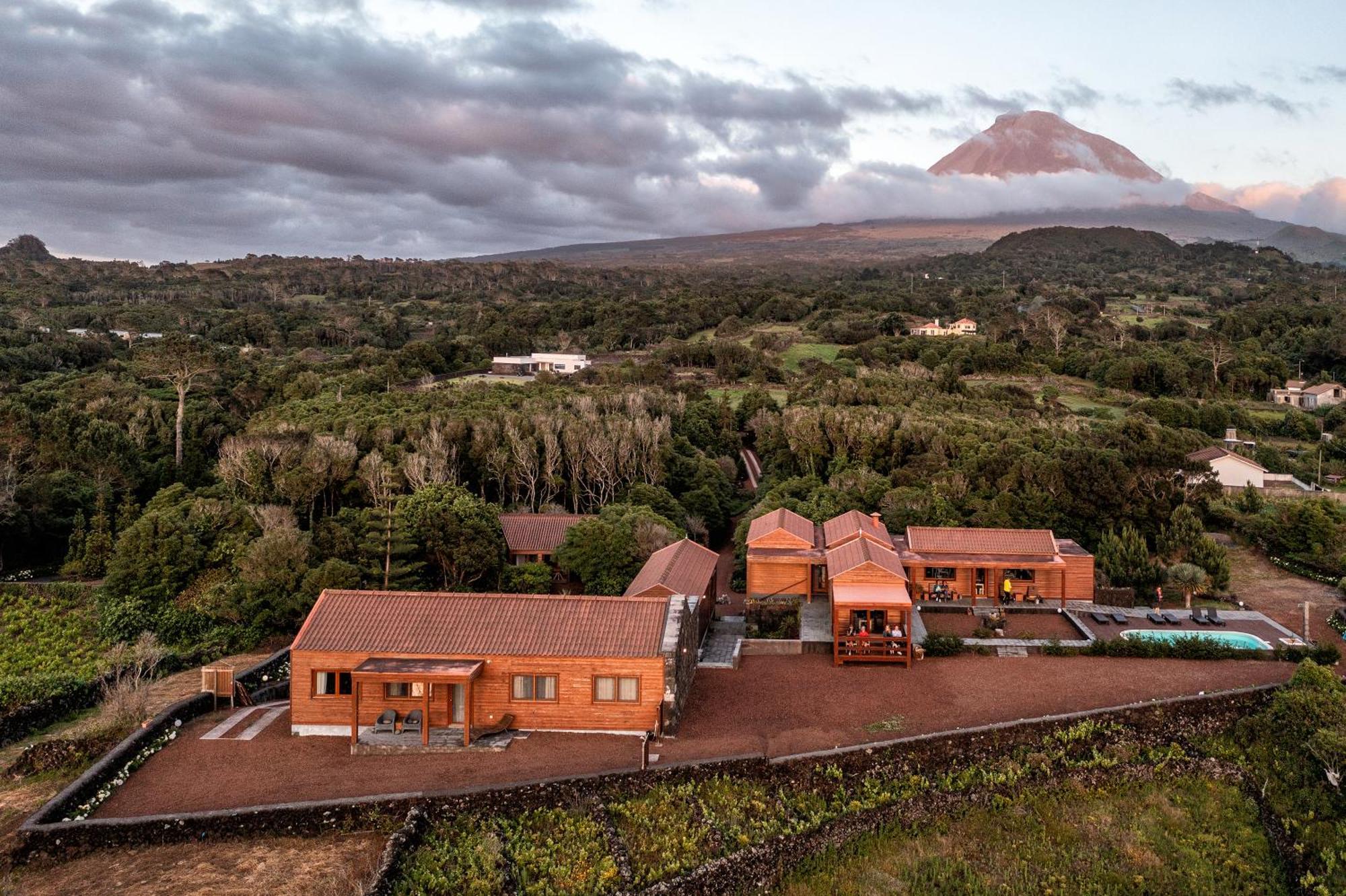 Alma Do Pico - Nature Residence Madalena  Extérieur photo