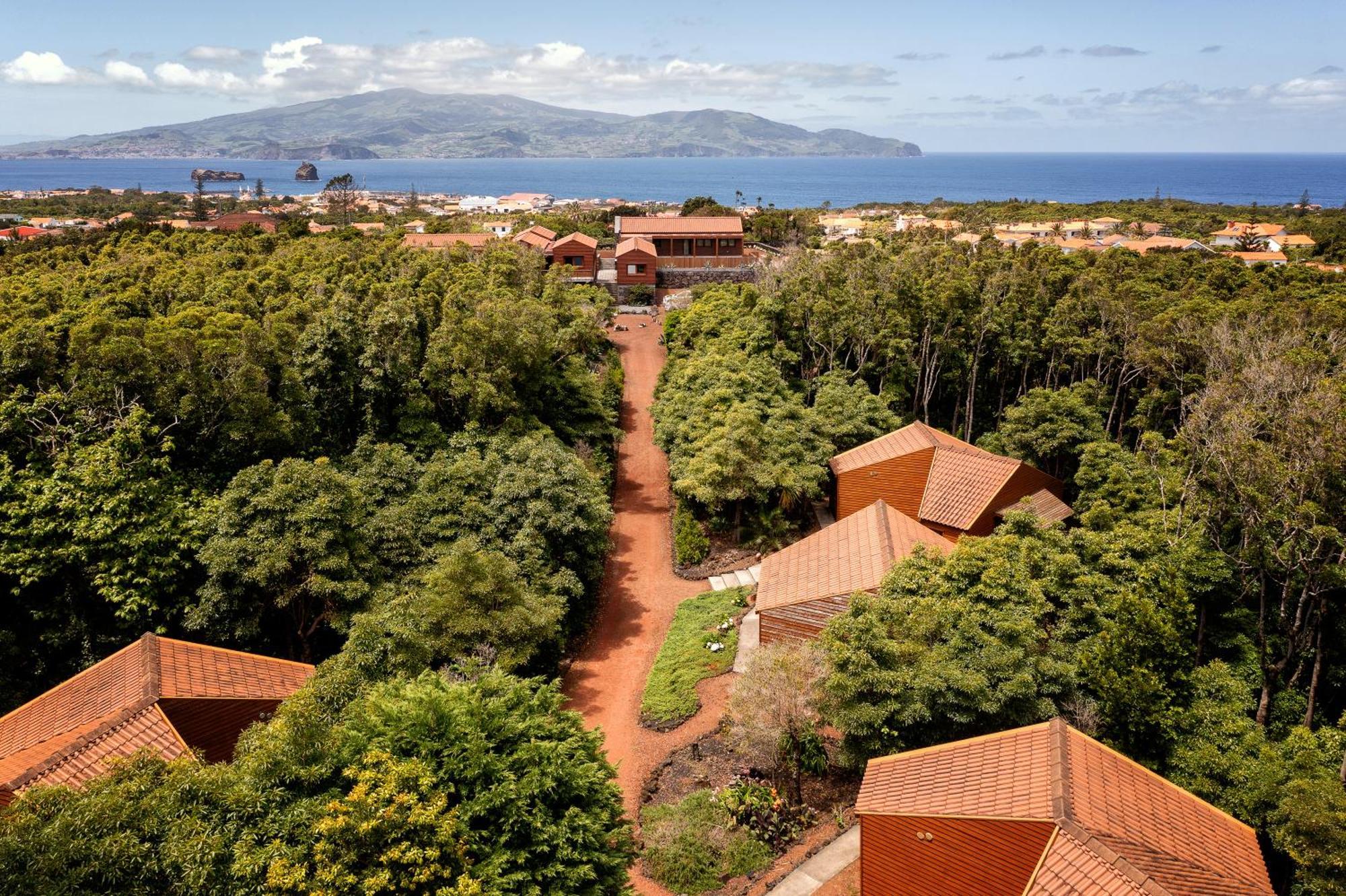 Alma Do Pico - Nature Residence Madalena  Extérieur photo